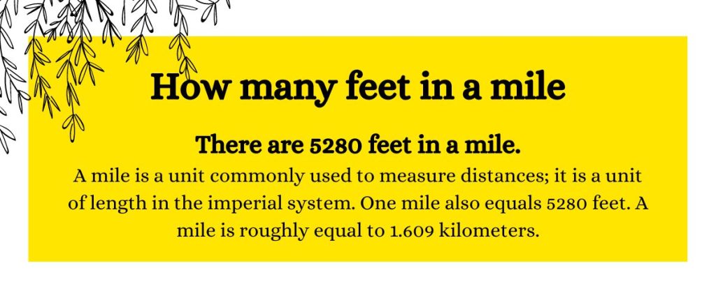 How many feet in a mile